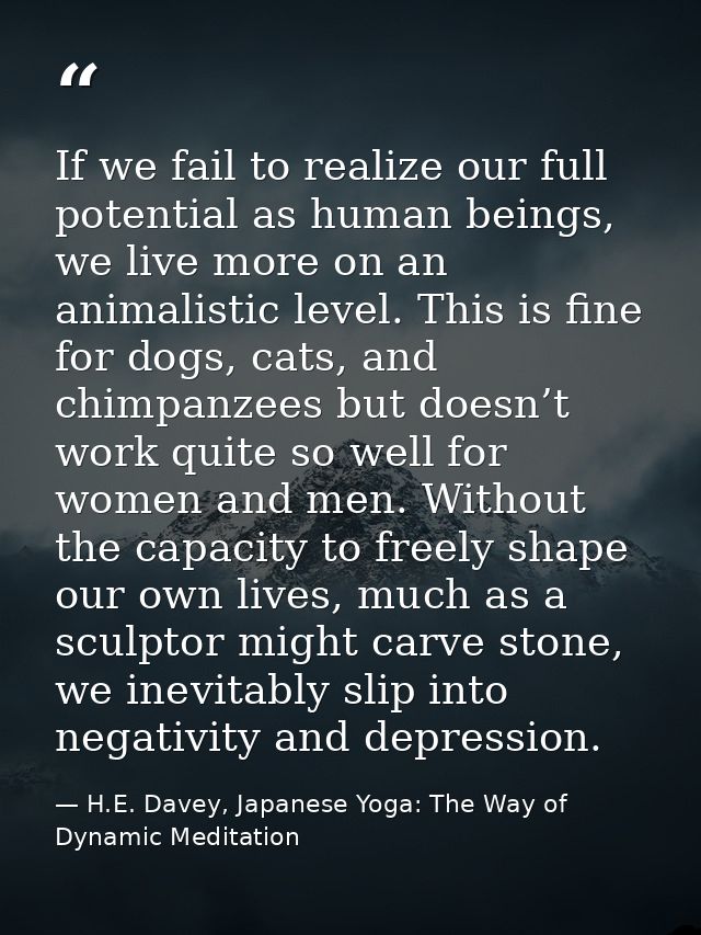 If we fail to realize our full potential as human beings, we live more on an animalistic level. This is fine for dogs, c — H.E. Davey, Japanese Yoga: The Way of Dynamic Meditation