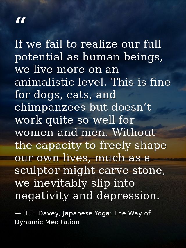If we fail to realize our full potential as human beings, we live more on an animalistic level. This is fine for dogs, c — H.E. Davey, Japanese Yoga: The Way of Dynamic Meditation