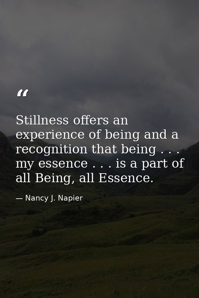 Stillness offers an experience of being and a recognition that being . . . my essence . . . is a part of all Being, all  — Nancy J. Napier