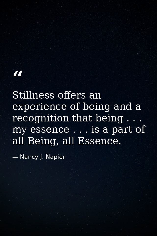Stillness offers an experience of being and a recognition that being . . . my essence . . . is a part of all Being, all  — Nancy J. Napier