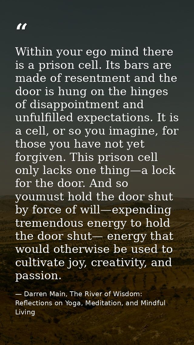 Within your ego mind there is a prison cell. Its bars are made of resentment and the door is hung on the hinges of disap — Darren Main, The River of Wisdom: Reflections on Yoga, Meditation, and Mindful Living