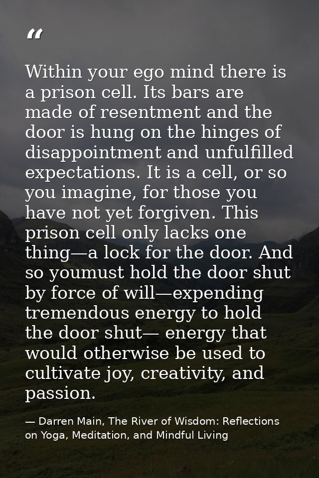 Within your ego mind there is a prison cell. Its bars are made of resentment and the door is hung on the hinges of disap — Darren Main, The River of Wisdom: Reflections on Yoga, Meditation, and Mindful Living
