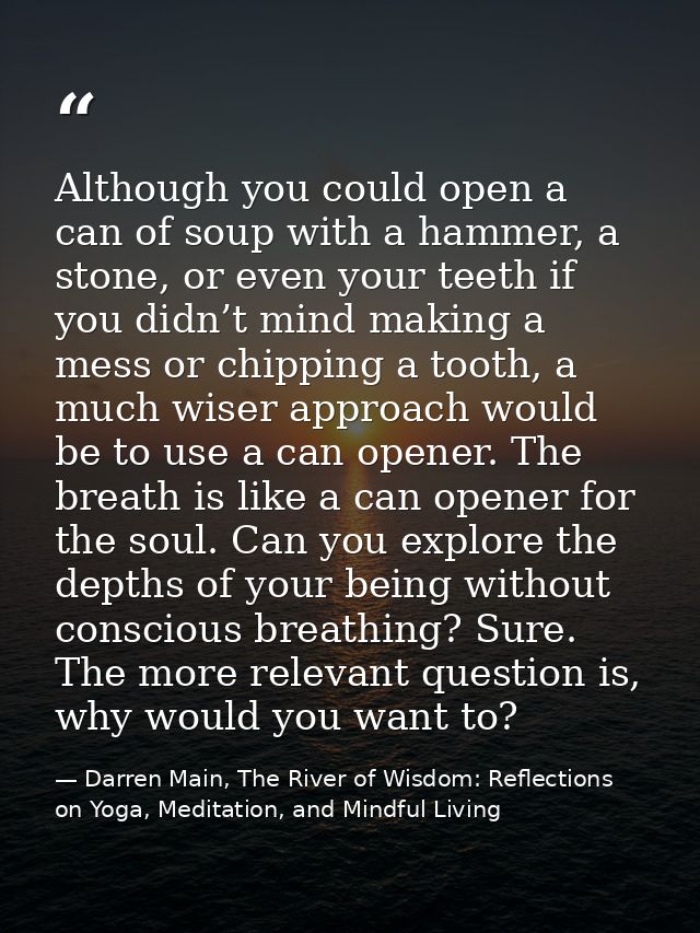 Although you could open a can of soup with a hammer, a stone, or even your teeth if you didn’t mind making a mess or chi — Darren Main, The River of Wisdom: Reflections on Yoga, Meditation, and Mindful Living