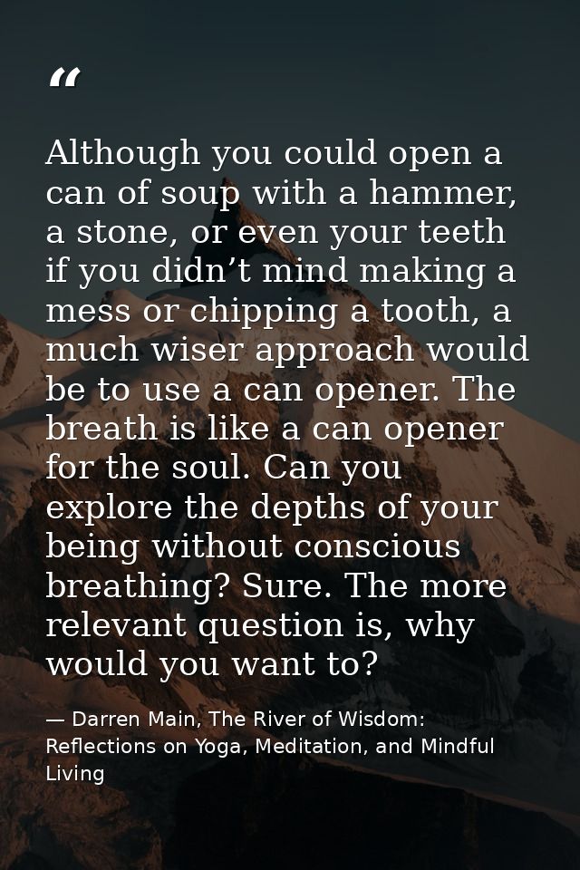 Although you could open a can of soup with a hammer, a stone, or even your teeth if you didn’t mind making a mess or chi — Darren Main, The River of Wisdom: Reflections on Yoga, Meditation, and Mindful Living
