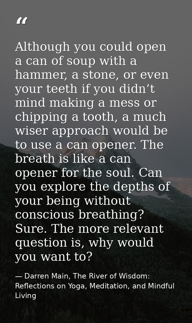 Although you could open a can of soup with a hammer, a stone, or even your teeth if you didn’t mind making a mess or chi — Darren Main, The River of Wisdom: Reflections on Yoga, Meditation, and Mindful Living