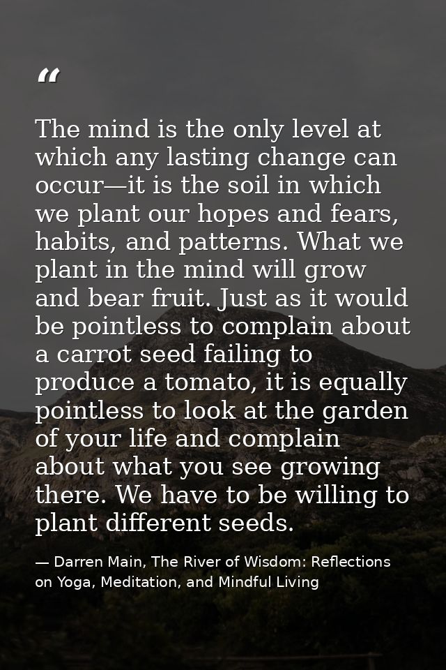 The mind is the only level at which any lasting change can occur—it is the soil in which we plant our hopes and fears, h — Darren Main, The River of Wisdom: Reflections on Yoga, Meditation, and Mindful Living
