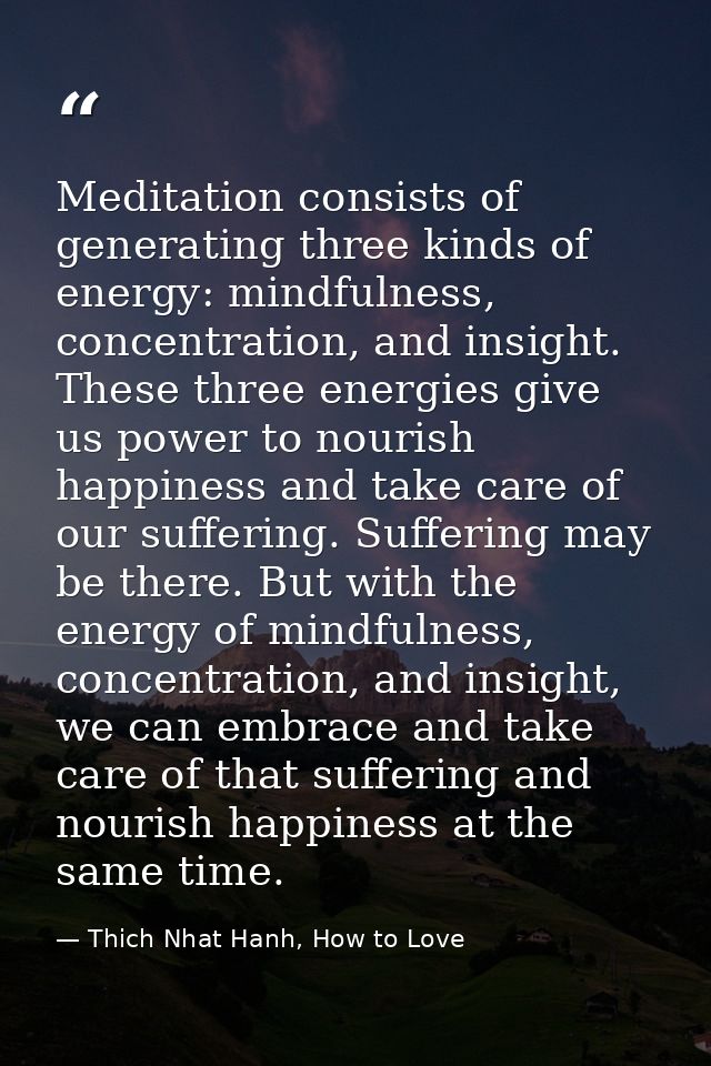 Meditation consists of generating three kinds of energy: mindfulness, concentration, and insight. These three energies g — Thich Nhat Hanh, How to Love
