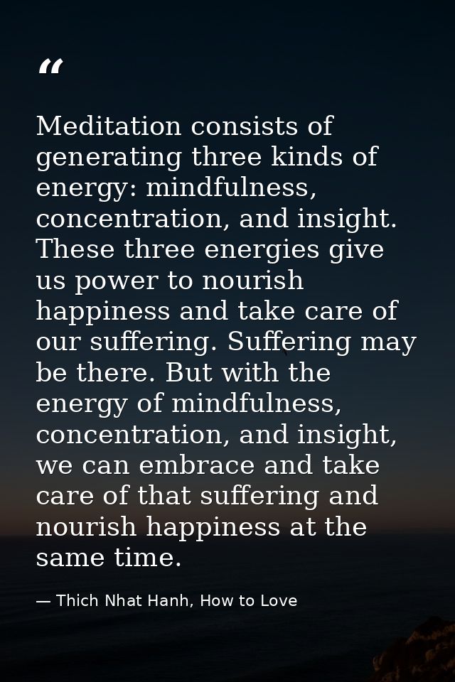 Meditation consists of generating three kinds of energy: mindfulness, concentration, and insight. These three energies g — Thich Nhat Hanh, How to Love