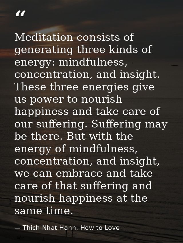 Meditation consists of generating three kinds of energy: mindfulness, concentration, and insight. These three energies g — Thich Nhat Hanh, How to Love
