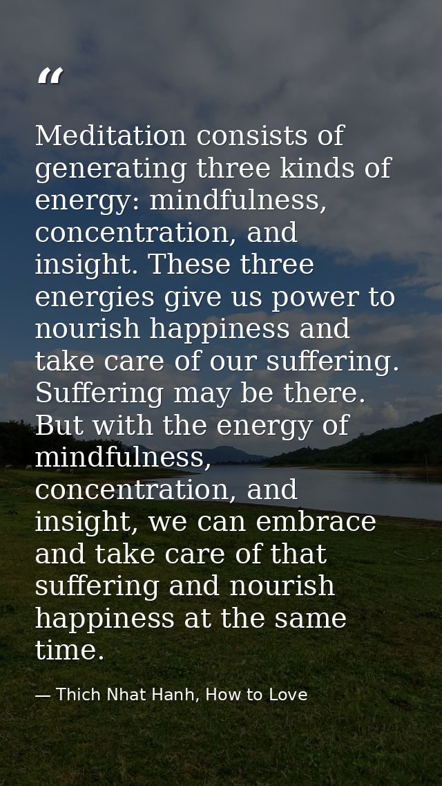 Meditation consists of generating three kinds of energy: mindfulness, concentration, and insight. These three energies g — Thich Nhat Hanh, How to Love