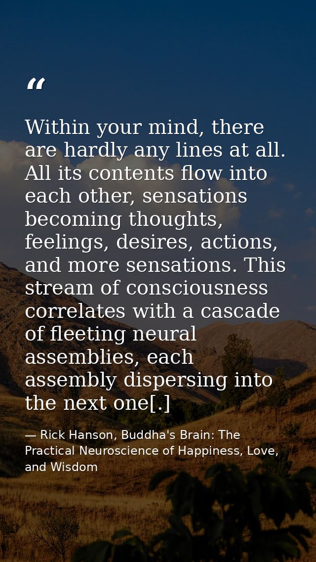 Within your mind, there are hardly any lines at all. All its contents flow into each other, sensations becoming thoughts — Rick Hanson, Buddha's Brain: The Practical Neuroscience of Happiness, Love, and Wisdom