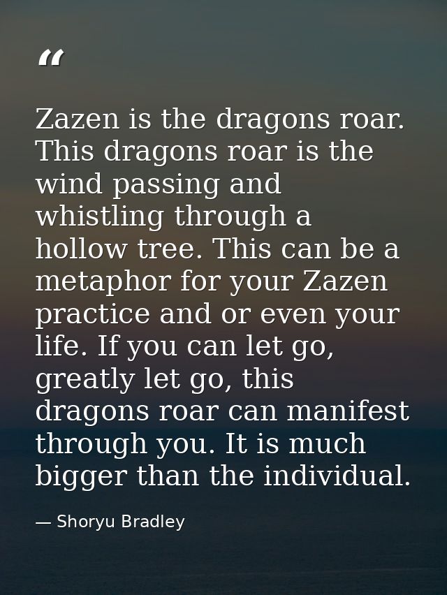 Zazen is the dragons roar. This dragons roar is the wind passing and whistling through a hollow tree. This can be a meta — Shoryu Bradley