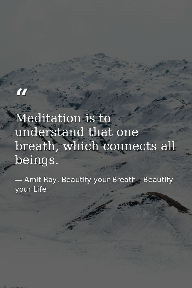 Meditation is to understand that one breath, which connects all beings. — Amit Ray, Beautify your Breath - Beautify your Life