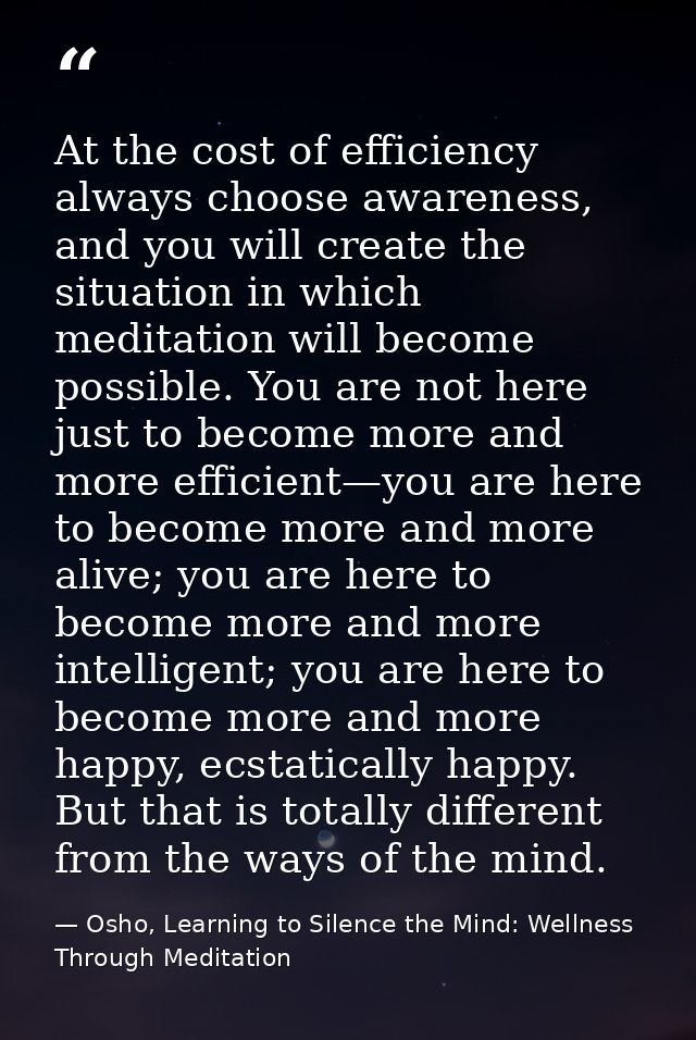 At the cost of efficiency always choose awareness, and you will create the situation in which meditation will become pos — Osho, Learning to Silence the Mind: Wellness Through Meditation