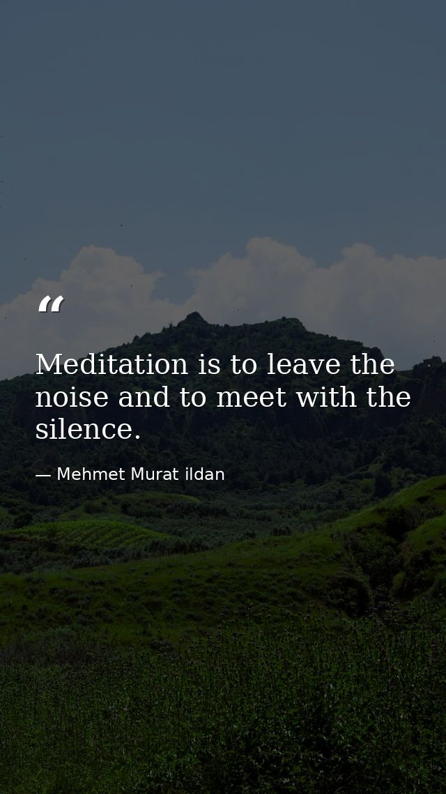 Meditation is to leave the noise and to meet with the silence. — Mehmet Murat ildan