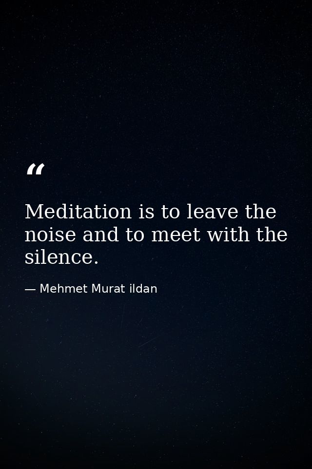 Meditation is to leave the noise and to meet with the silence. — Mehmet Murat ildan