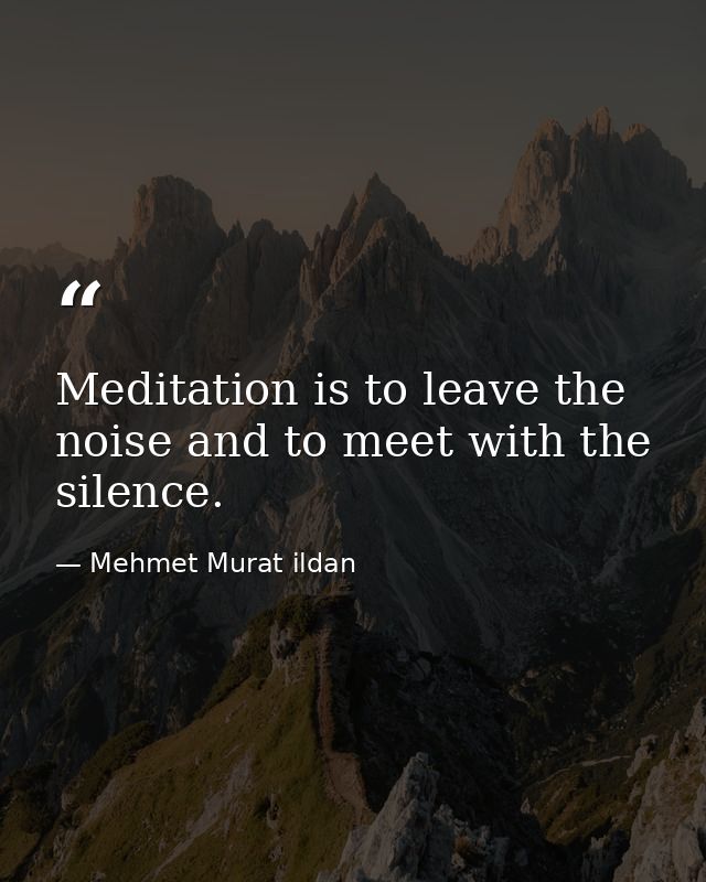 Meditation is to leave the noise and to meet with the silence. — Mehmet Murat ildan