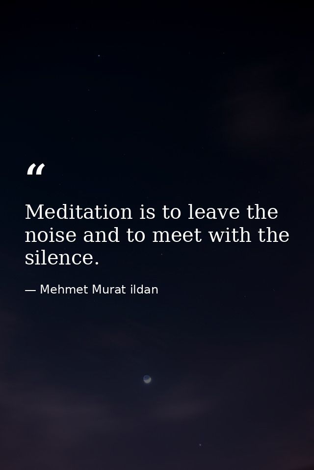 Meditation is to leave the noise and to meet with the silence. — Mehmet Murat ildan
