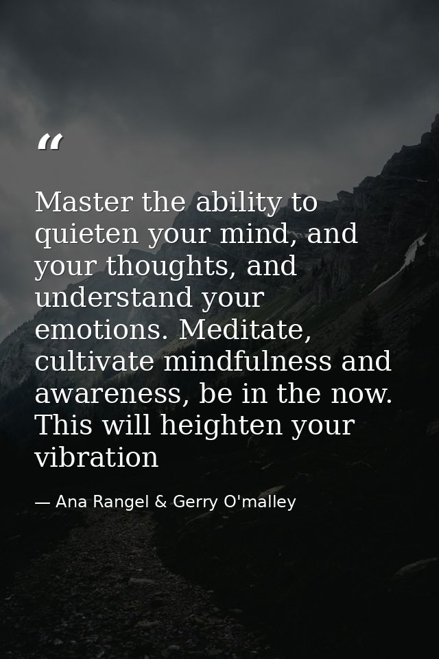 Master the ability to quieten your mind, and your thoughts, and understand your emotions. Meditate, cultivate mindfulnes — Ana Rangel & Gerry O'malley
