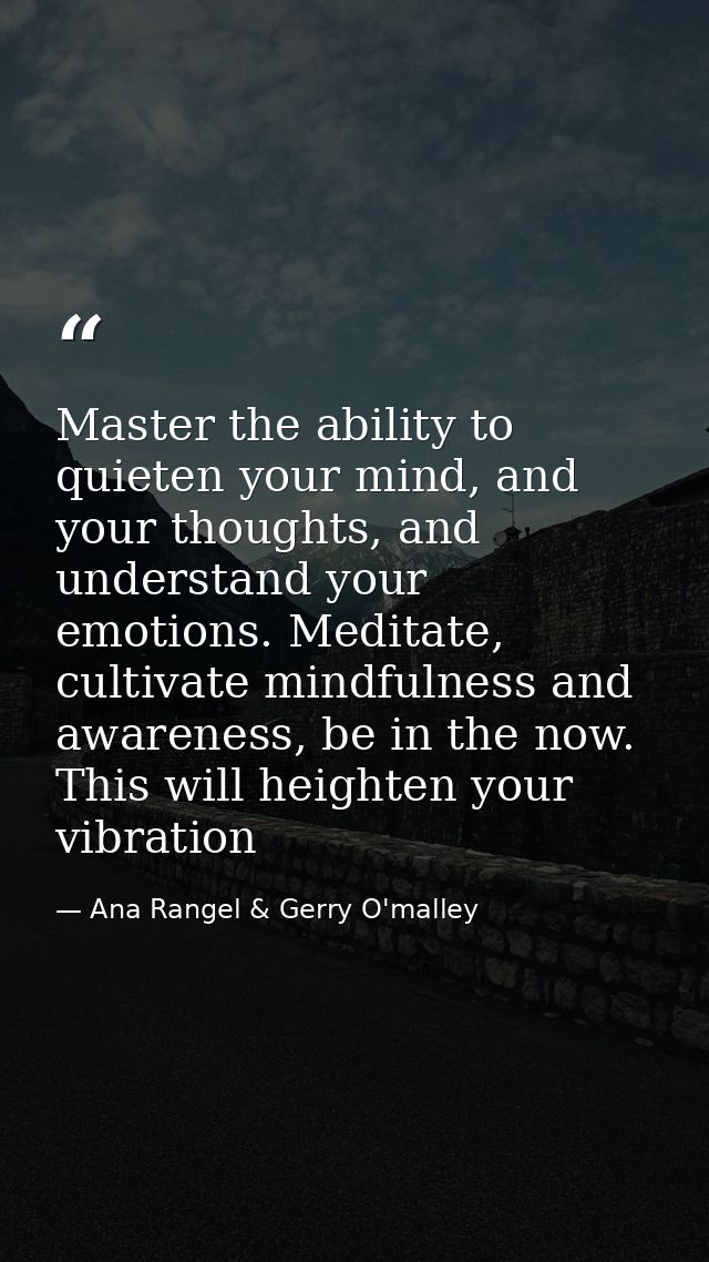 Master the ability to quieten your mind, and your thoughts, and understand your emotions. Meditate, cultivate mindfulnes — Ana Rangel & Gerry O'malley