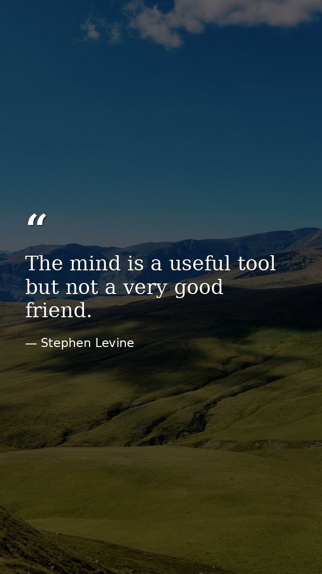 The mind is a useful tool but not a very good friend. — Stephen Levine