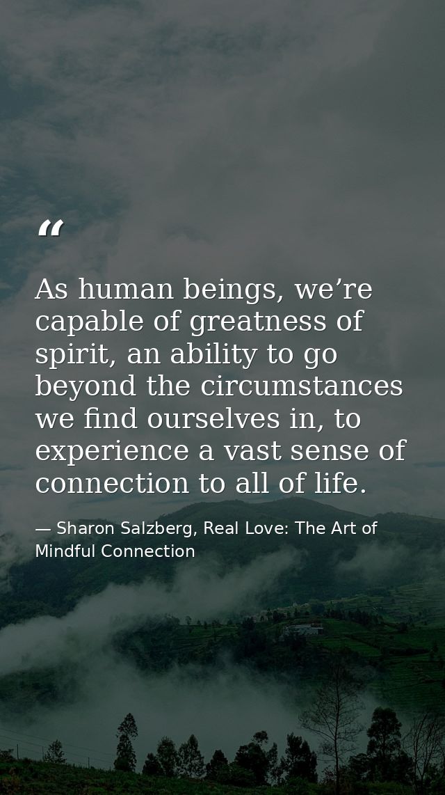 As human beings, we’re capable of greatness of spirit, an ability to go beyond the circumstances we find ourselves in, t — Sharon Salzberg, Real Love: The Art of Mindful Connection