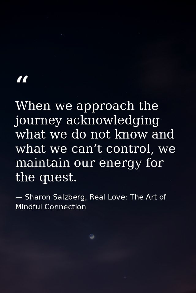 When we approach the journey acknowledging what we do not know and what we can’t control, we maintain our energy for the — Sharon Salzberg, Real Love: The Art of Mindful Connection