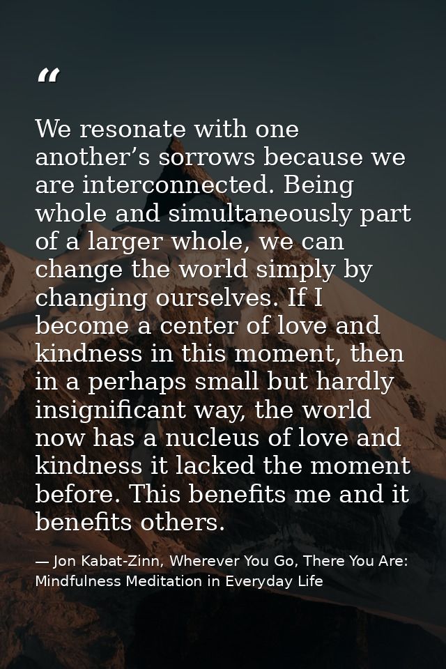 We resonate with one another’s sorrows because we are interconnected. Being whole and simultaneously part of a larger wh — Jon Kabat-Zinn, Wherever You Go, There You Are: Mindfulness Meditation in Everyday Life