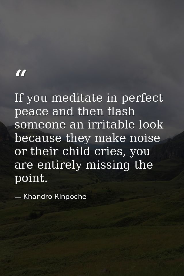 If you meditate in perfect peace and then flash someone an irritable look because they make noise or their child cries,  — Khandro Rinpoche
