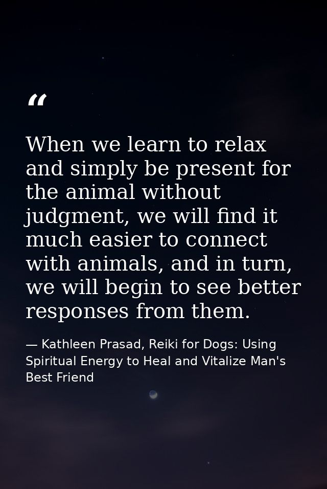 When we learn to relax and simply be present for the animal without judgment, we will find it much easier to connect wit — Kathleen Prasad, Reiki for Dogs: Using Spiritual Energy to Heal and Vitalize Man's Best Friend