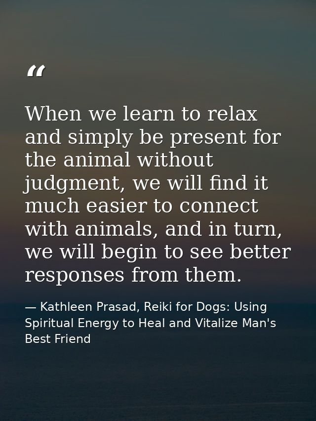 When we learn to relax and simply be present for the animal without judgment, we will find it much easier to connect wit — Kathleen Prasad, Reiki for Dogs: Using Spiritual Energy to Heal and Vitalize Man's Best Friend