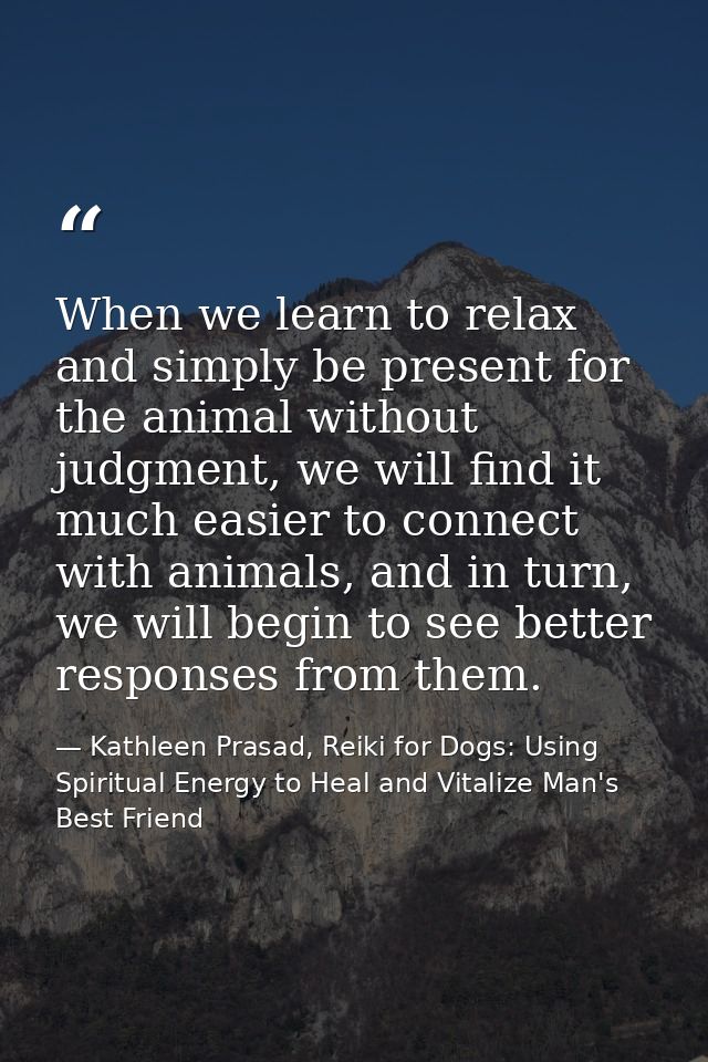 When we learn to relax and simply be present for the animal without judgment, we will find it much easier to connect wit — Kathleen Prasad, Reiki for Dogs: Using Spiritual Energy to Heal and Vitalize Man's Best Friend