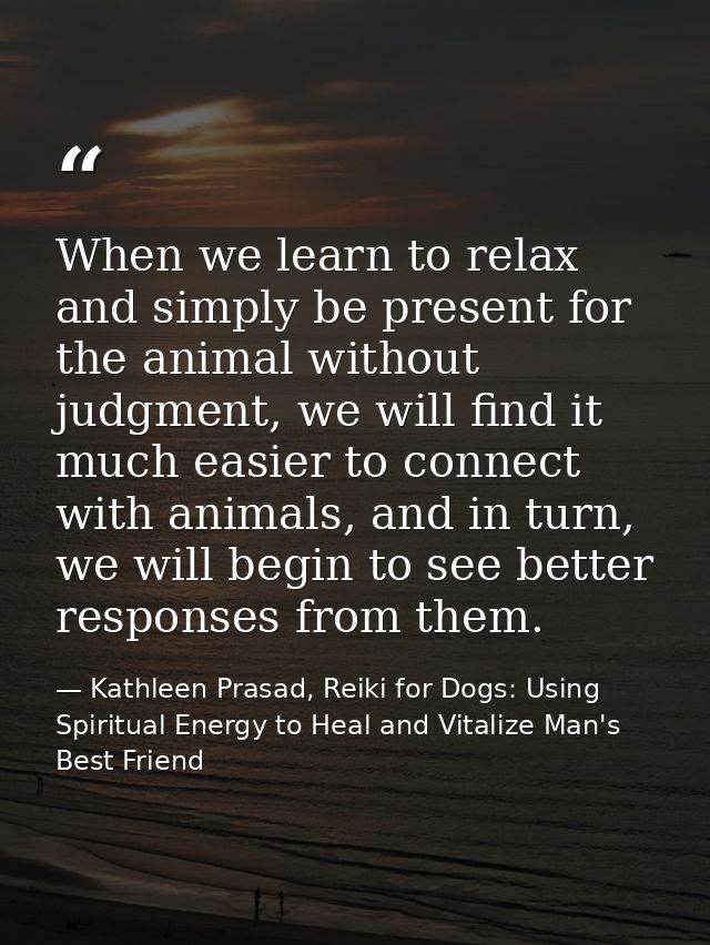 When we learn to relax and simply be present for the animal without judgment, we will find it much easier to connect wit — Kathleen Prasad, Reiki for Dogs: Using Spiritual Energy to Heal and Vitalize Man's Best Friend
