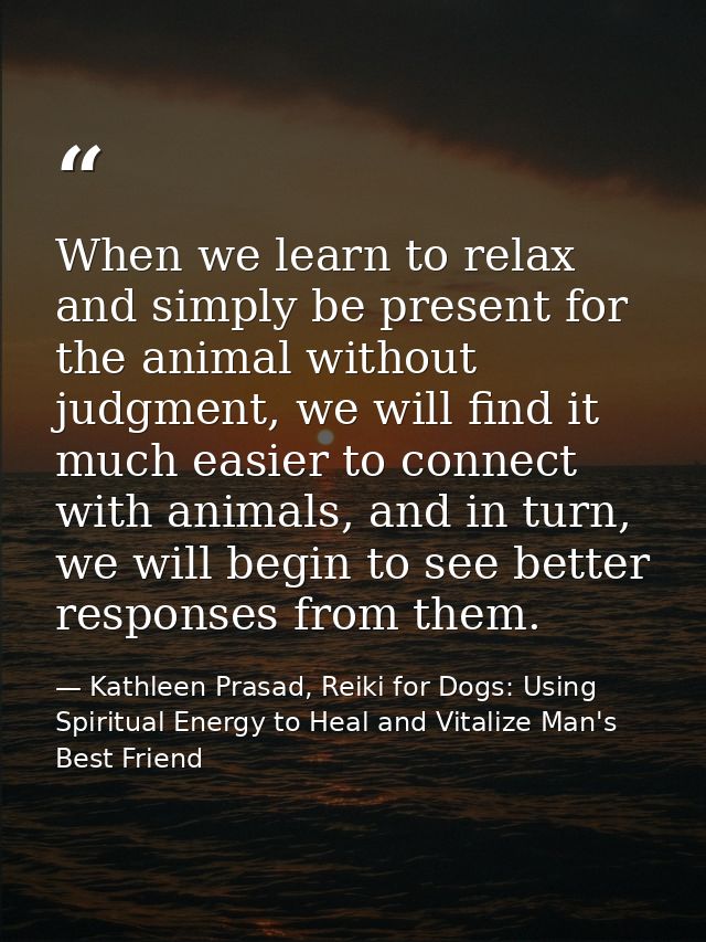 When we learn to relax and simply be present for the animal without judgment, we will find it much easier to connect wit — Kathleen Prasad, Reiki for Dogs: Using Spiritual Energy to Heal and Vitalize Man's Best Friend