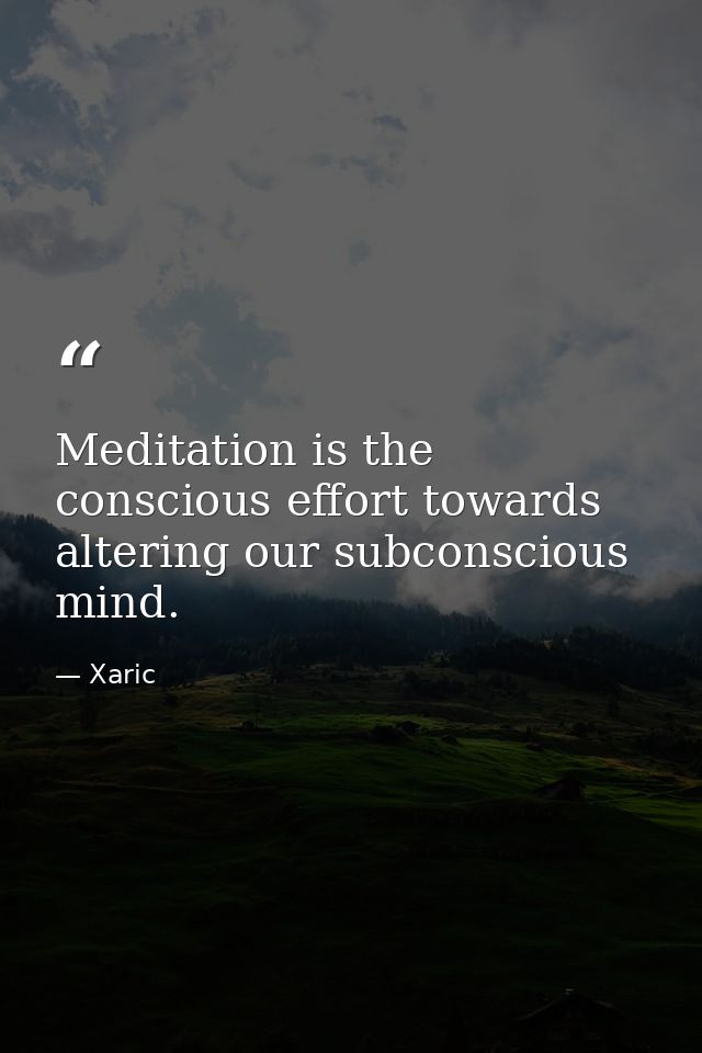 Meditation is the conscious effort towards altering our subconscious mind. — Xaric
