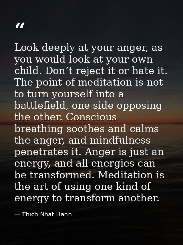 Look deeply at your anger, as you would look at your own child. Don’t reject it or hate it. The point of meditation is n — Thich Nhat Hanh