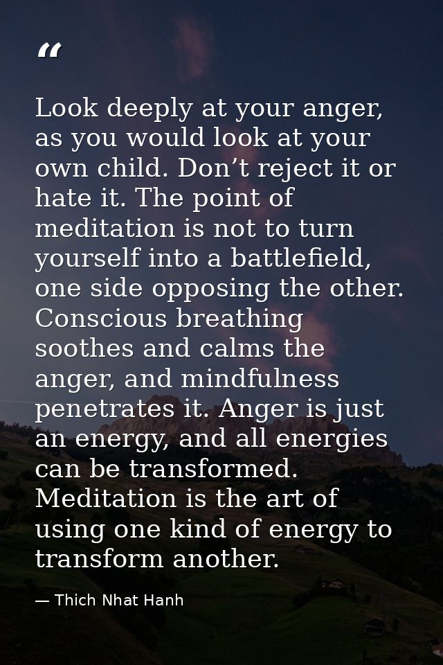Look deeply at your anger, as you would look at your own child. Don’t reject it or hate it. The point of meditation is n — Thich Nhat Hanh