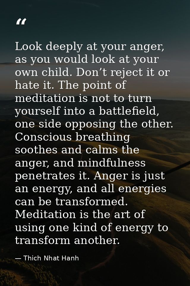 Look deeply at your anger, as you would look at your own child. Don’t reject it or hate it. The point of meditation is n — Thich Nhat Hanh