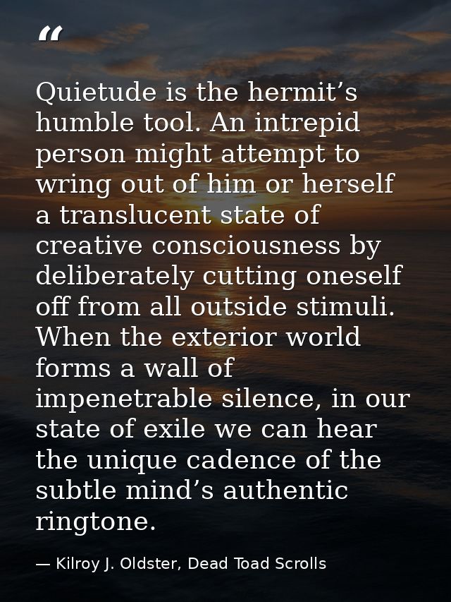 Quietude is the hermit’s humble tool. An intrepid person might attempt to wring out of him or herself a translucent stat — Kilroy J. Oldster, Dead Toad Scrolls