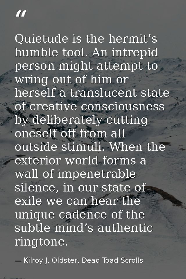 Quietude is the hermit’s humble tool. An intrepid person might attempt to wring out of him or herself a translucent stat — Kilroy J. Oldster, Dead Toad Scrolls