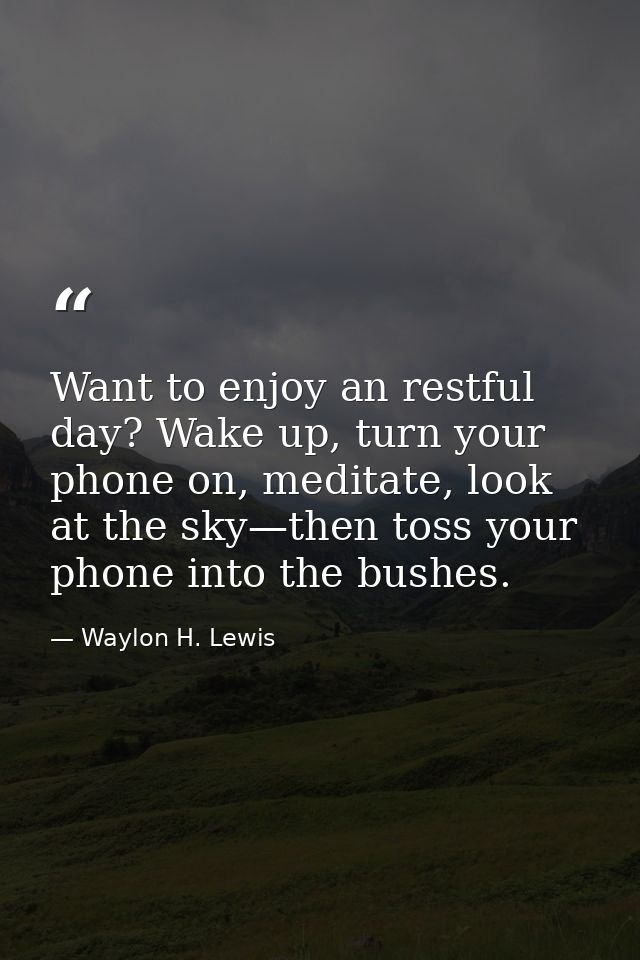 Want to enjoy an restful day? Wake up, turn your phone on, meditate, look at the sky—then toss your phone into the bushe — Waylon H. Lewis