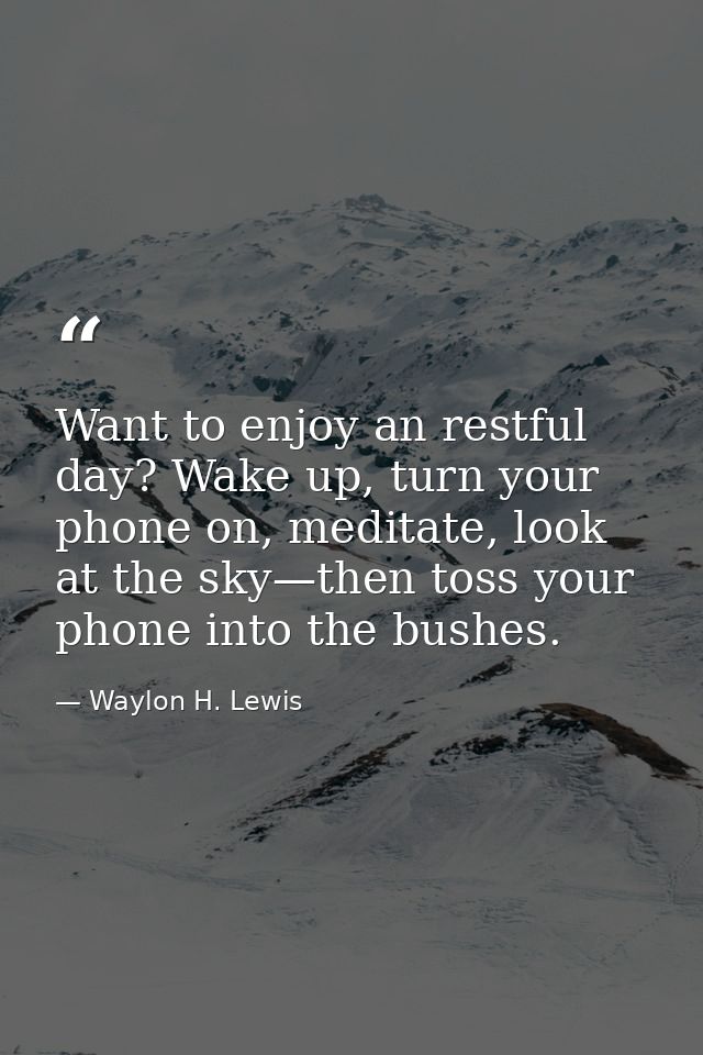 Want to enjoy an restful day? Wake up, turn your phone on, meditate, look at the sky—then toss your phone into the bushe — Waylon H. Lewis