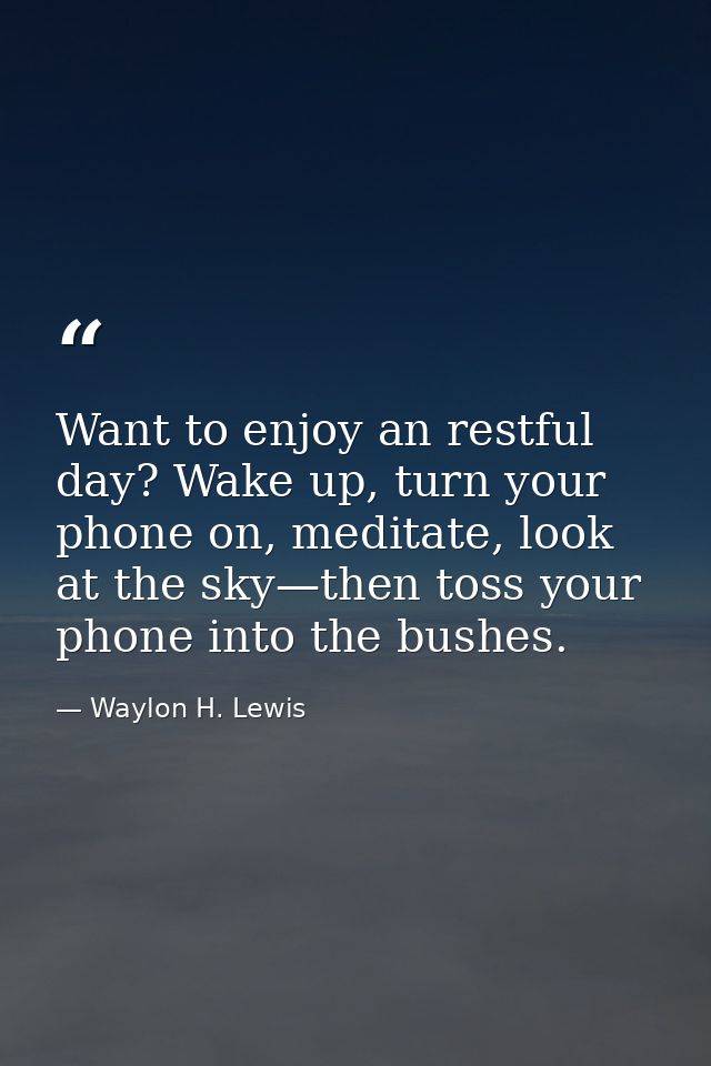 Want to enjoy an restful day? Wake up, turn your phone on, meditate, look at the sky—then toss your phone into the bushe — Waylon H. Lewis