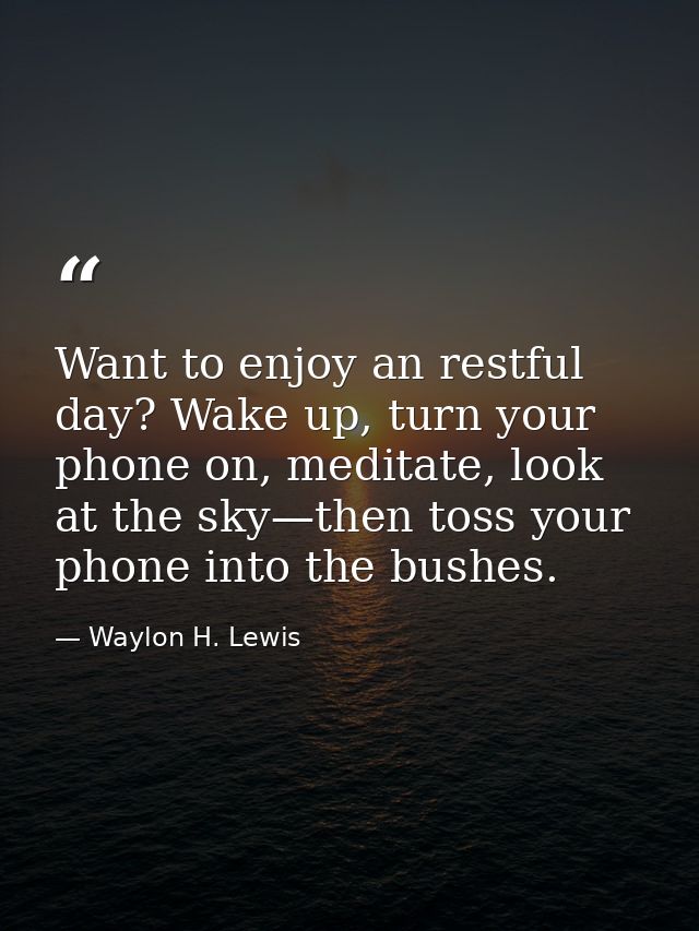Want to enjoy an restful day? Wake up, turn your phone on, meditate, look at the sky—then toss your phone into the bushe — Waylon H. Lewis