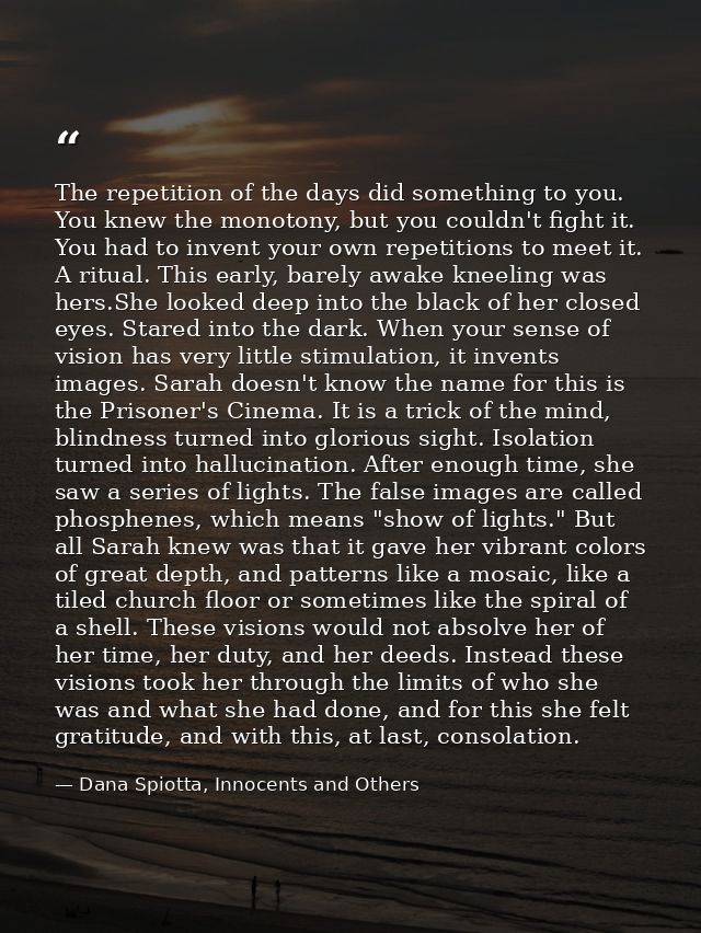 The repetition of the days did something to you. You knew the monotony, but you couldn't fight it. You had to invent you — Dana Spiotta, Innocents and Others