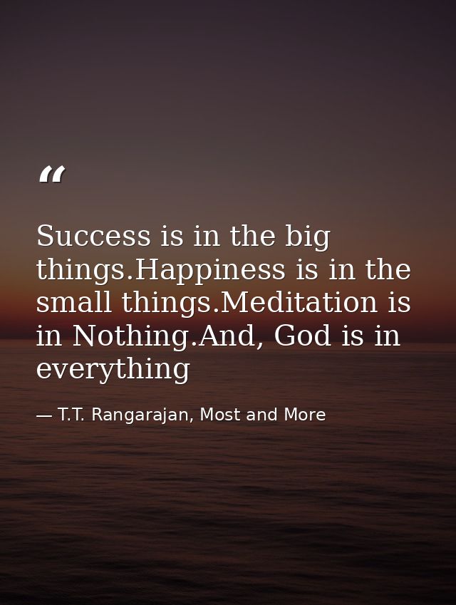 Success is in the big things.Happiness is in the small things.Meditation is in Nothing.And, God is in everything — T.T. Rangarajan, Most and More