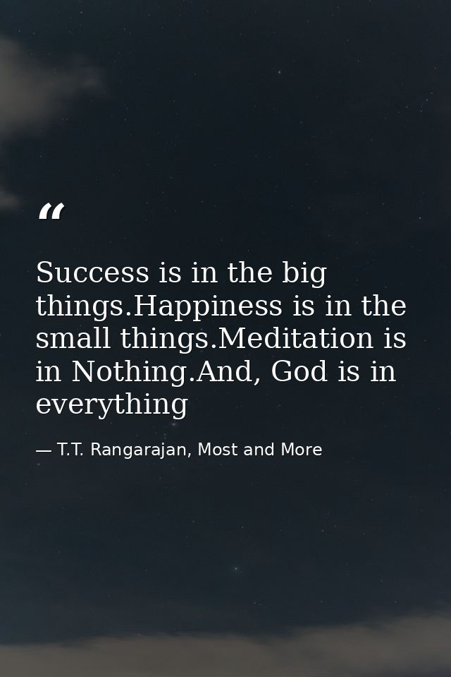 Success is in the big things.Happiness is in the small things.Meditation is in Nothing.And, God is in everything — T.T. Rangarajan, Most and More