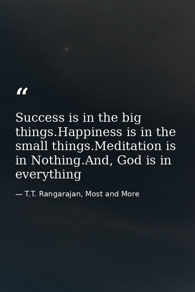 Success is in the big things.Happiness is in the small things.Meditation is in Nothing.And, God is in everything — T.T. Rangarajan, Most and More