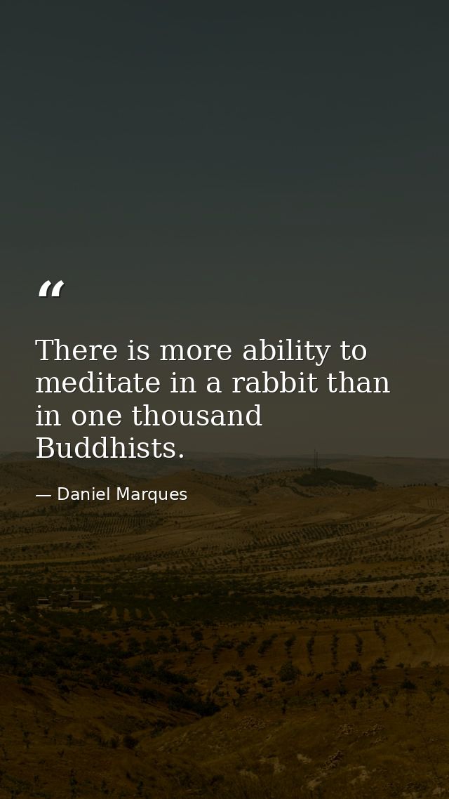 There is more ability to meditate in a rabbit than in one thousand Buddhists. — Daniel Marques