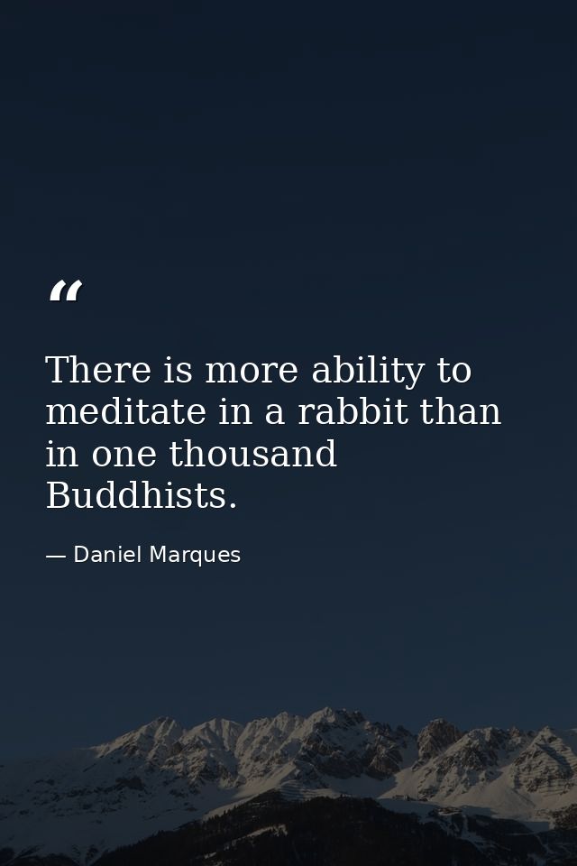 There is more ability to meditate in a rabbit than in one thousand Buddhists. — Daniel Marques